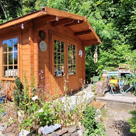 Tan Y Coed'S Rosemary Cabin Conwy Exterior photo
