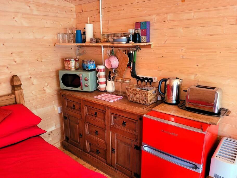 Tan Y Coed'S Rosemary Cabin Conwy Exterior photo
