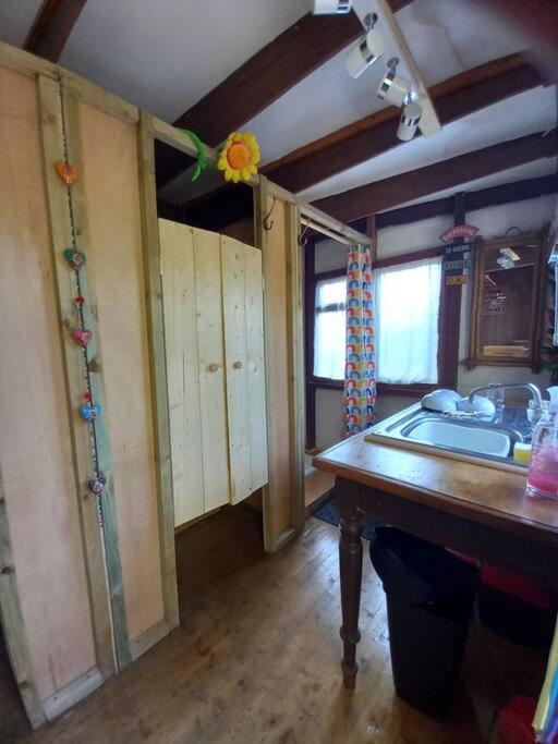 Tan Y Coed'S Rosemary Cabin Conwy Exterior photo