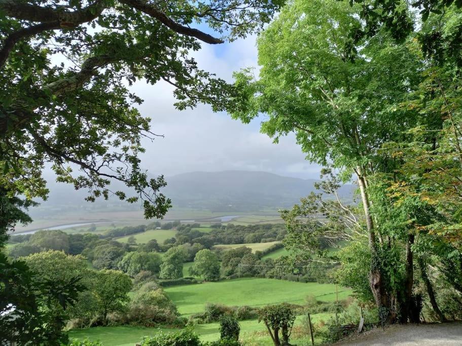 Tan Y Coed'S Rosemary Cabin Conwy Exterior photo